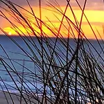 Gemuetliche Unter Reet Mit Pool Und Sauna In