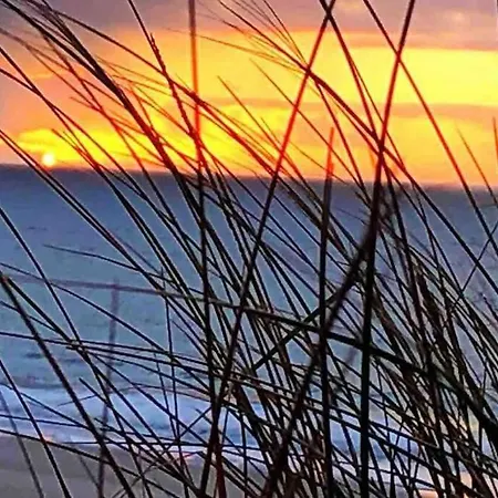 Gemuetliche Unter Reet Mit Pool Und Sauna In