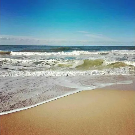 Gemuetliche Unter Reet Mit Pool Und Sauna In דירה *