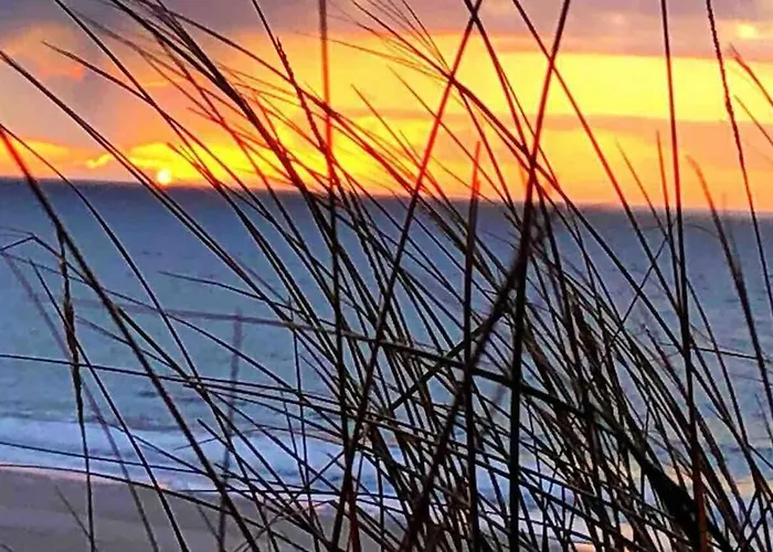 Gemuetliche Unter Reet Mit Pool Und Sauna In