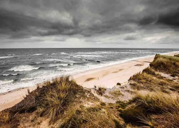 Gemuetliche Unter Reet Mit Pool Und Sauna In