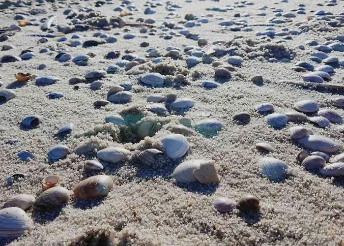 شقة Gemuetliche Unter Reet Mit Pool Und Sauna In